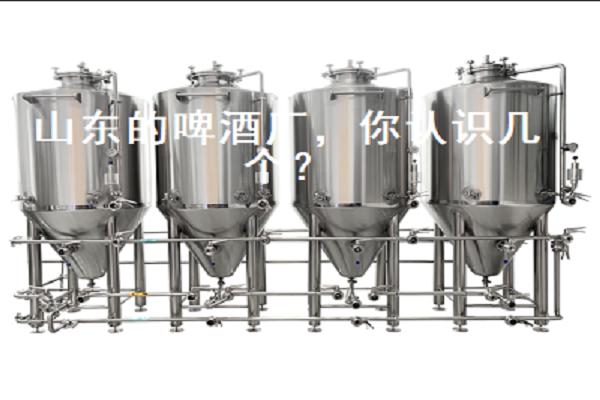 山東的啤酒廠，你認(rèn)識幾個(gè)？