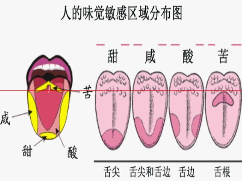 連生啤、熟啤、鮮啤、精釀都分不清楚，還喝什么啤酒