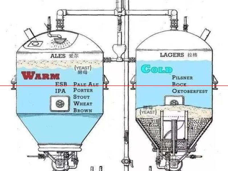 啤酒顏色越深越苦嗎？這些啤酒常識，80%的啤酒人不知道