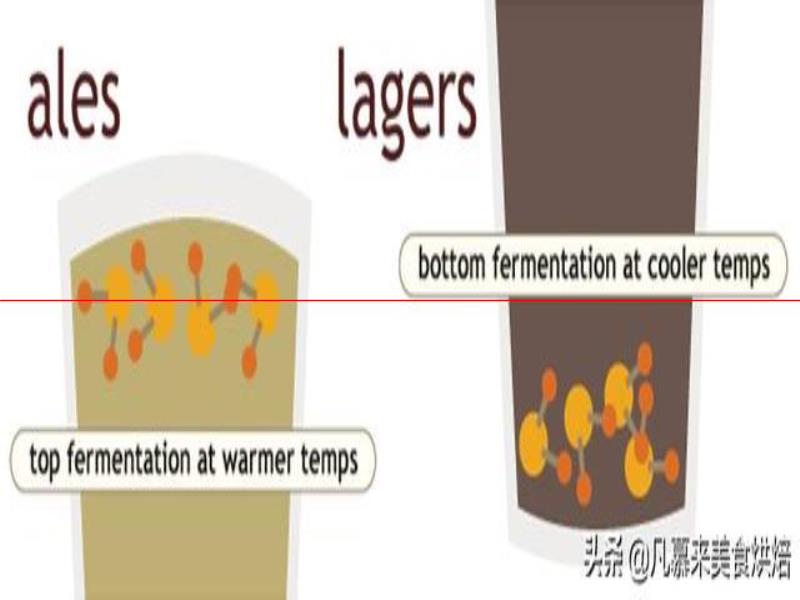 測(cè)評(píng)17款精釀啤酒，五花八門(mén)各種口味真奇葩，哪種啤酒好喝能奪冠