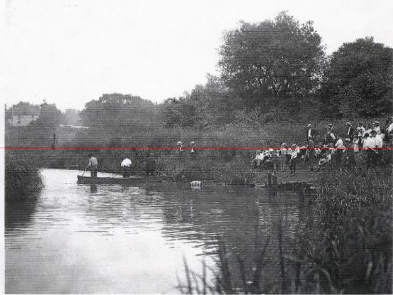 1916年，一條鯊魚擠進(jìn)小溪，吞食了5名美國(guó)人，居民展開復(fù)仇