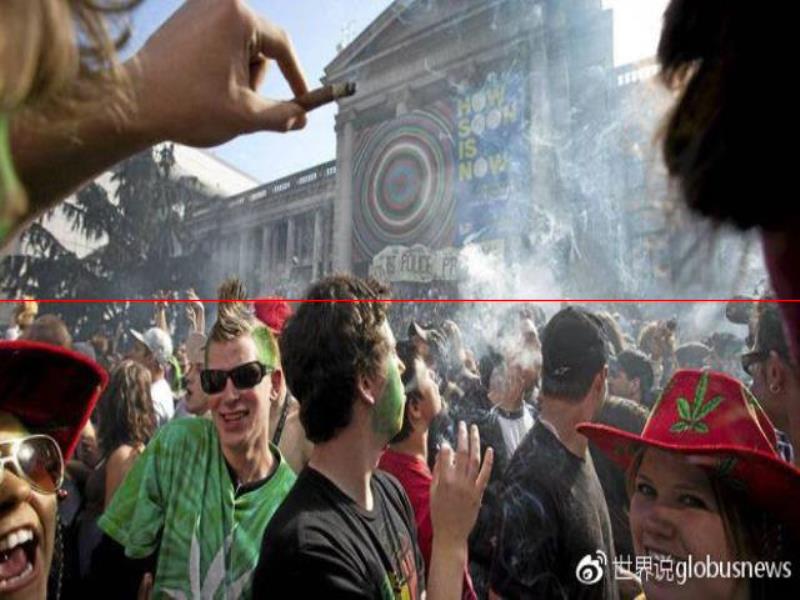 為什么大麻在加拿大變得合法了？