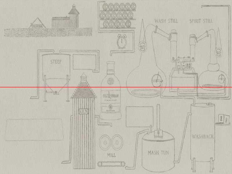 圖解  一分鐘看懂蘇格蘭單一麥芽威士忌生產(chǎn)過程