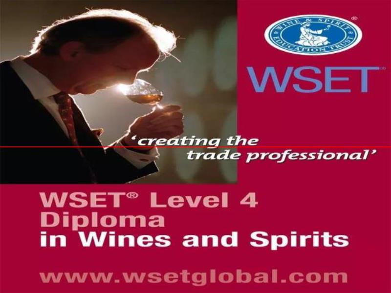 WSET 宣布將新增啤酒認證課程，想學習啤酒的快看