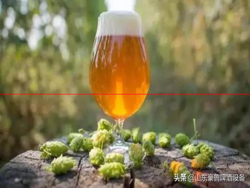 啤酒設(shè)備廠家——精釀啤酒渾濁常見(jiàn)的解決辦法