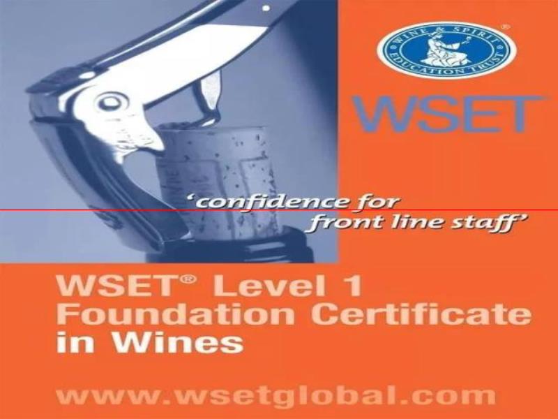 WSET 宣布將新增啤酒認證課程，想學習啤酒的快看